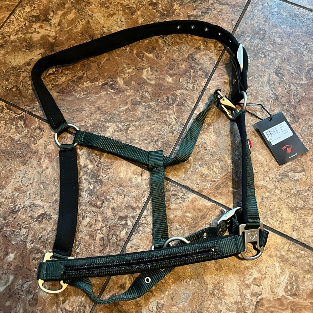 Catago X full Horse Halter Green